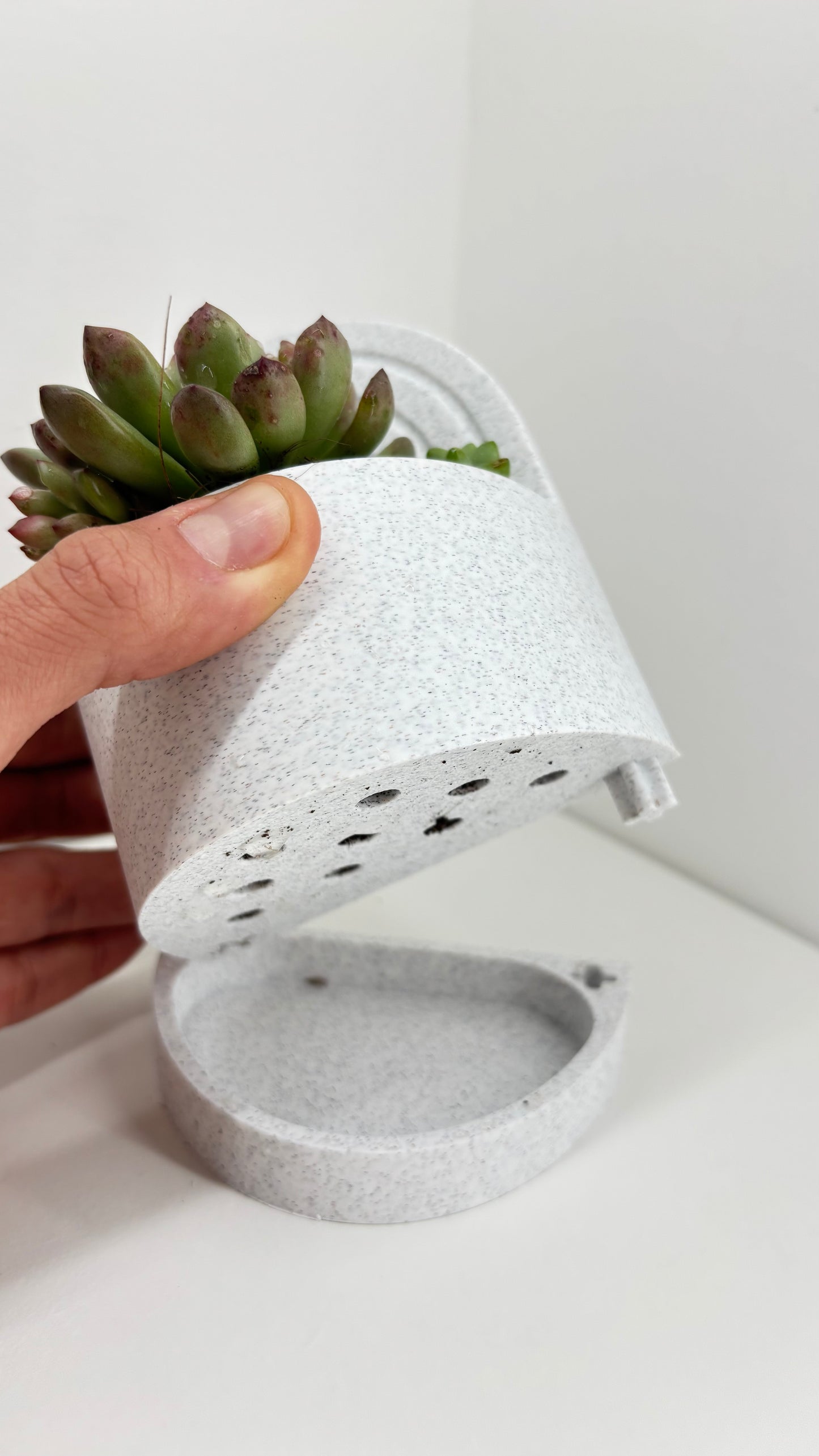 Arcadia sujetalibros - Maceteros