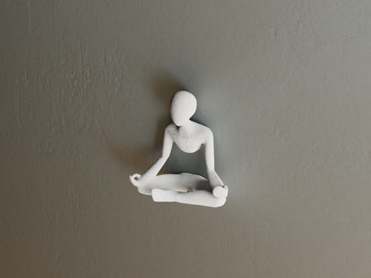 Silueta Zen - Nobody